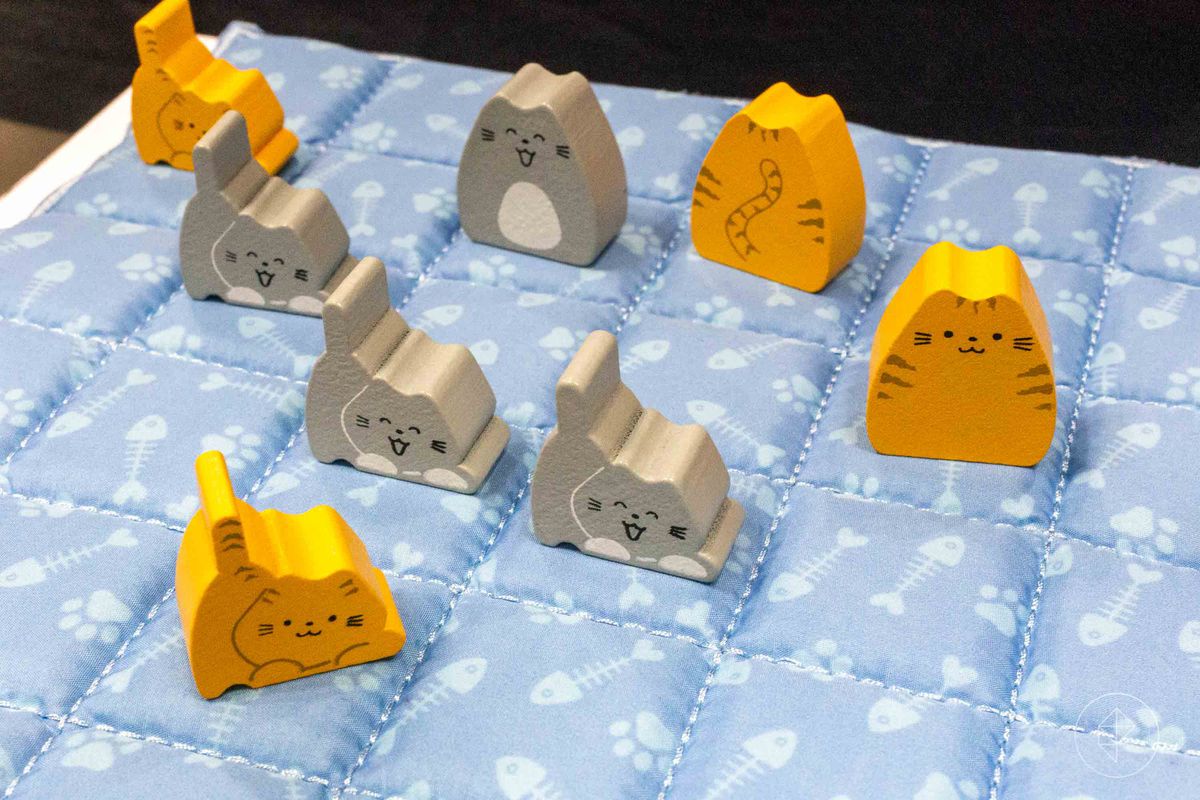 Grå och gula kattungar på ett täcke i Boop.