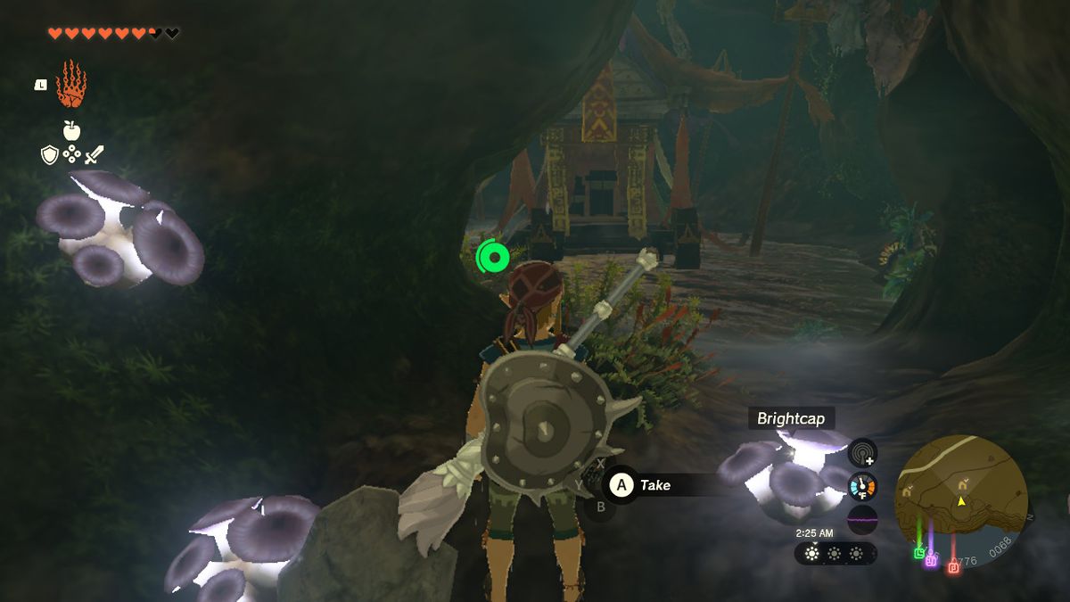 Link går in i bröstrummet på andra sidan vattenfallet i Zelda: Tears of the Kingdom