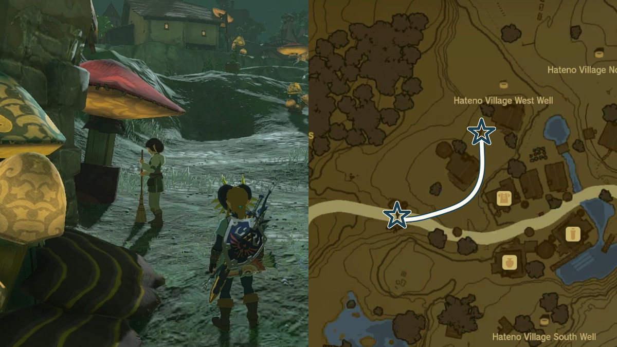 Tamana-banan under Team Cece eller Team Reede sidoäventyr i The Legend of Zelda: Tears of the Kingdom