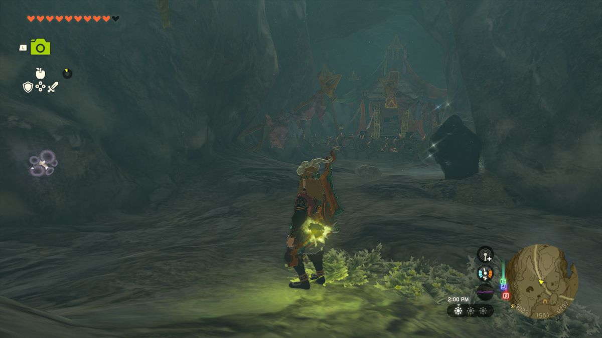 Link står nära ett skattrum, som bevakas av en vinvägg i Zelda: Tears of the Kingdom