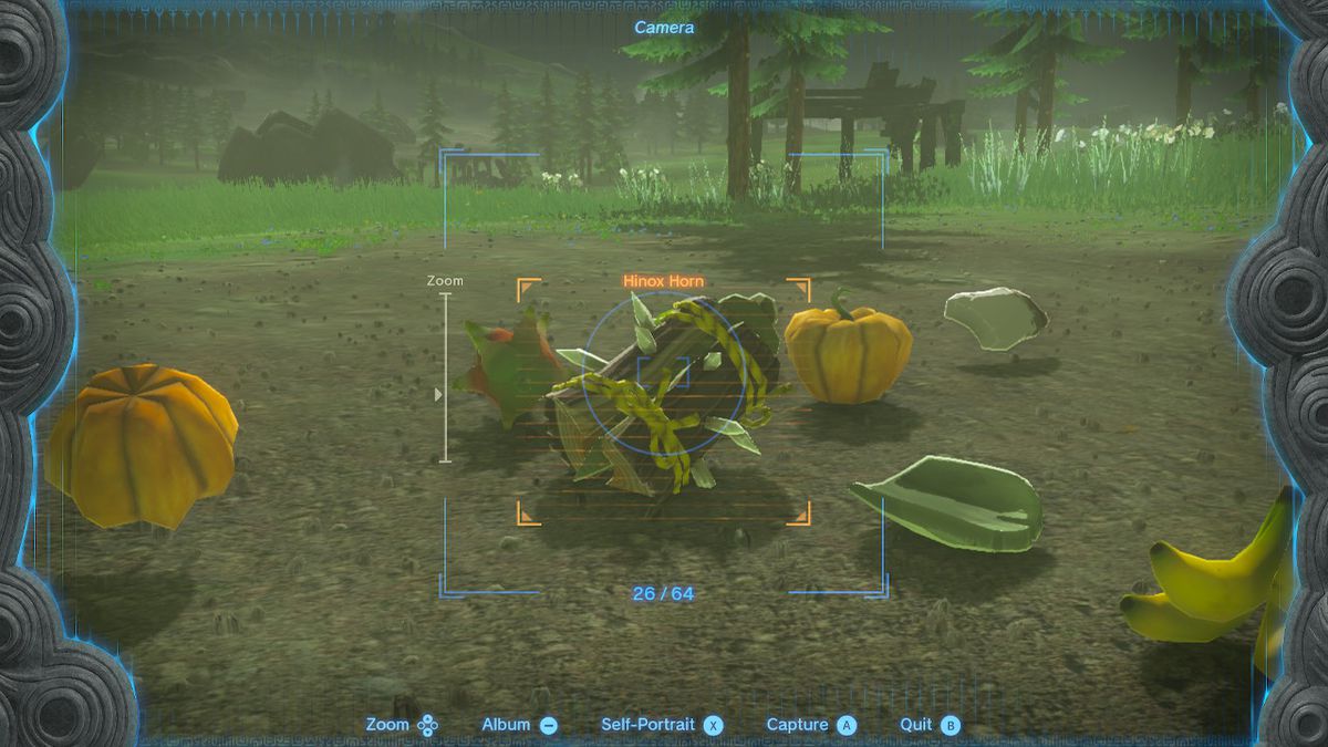Link tar ett foto av ett gäng frukt på marken i Zelda Tears of the Kingdom.