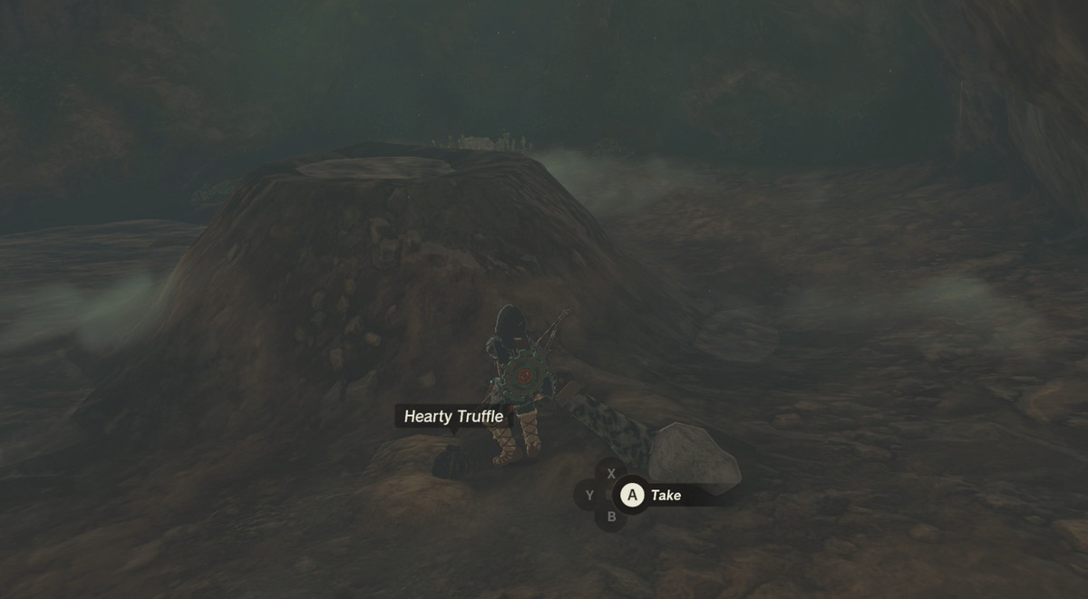 Link står inne i en mörk grotta i The Legend of Zelda: Tears of the Kingdom.  Till höger om honom finns en rejäl tryffel han kan plocka upp.  Den är märkt med vit text.