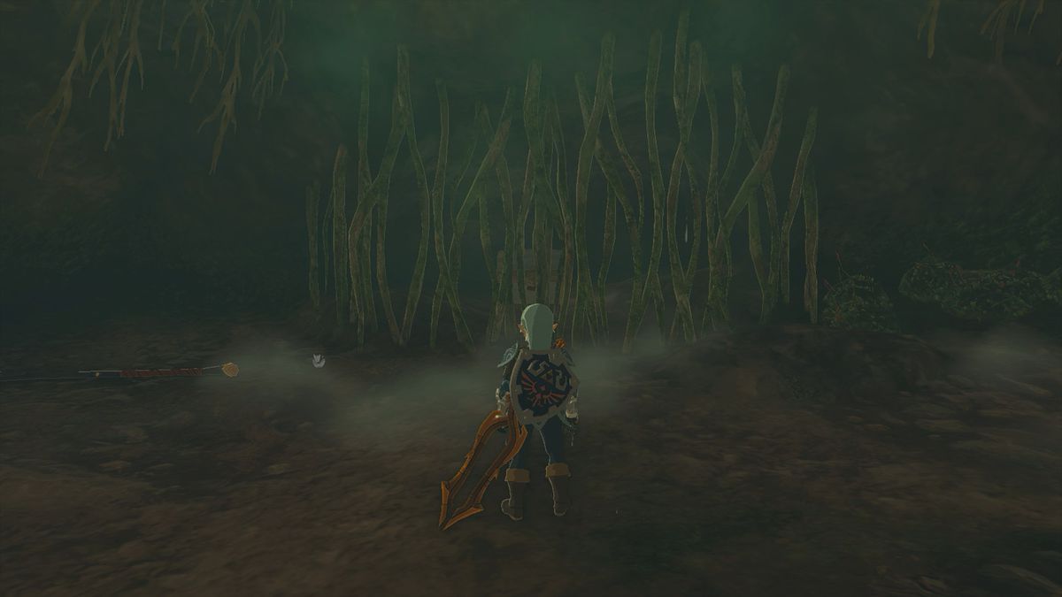 Kista gömd bakom vinstockar i Mount Dunsel Cave i The Legend of Zelda: Tears of the Kingdom