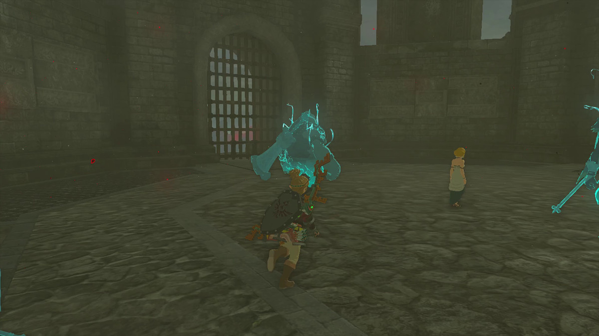 Link springer fram till Zelda i ett mörkt slottsrum, med ryggen vänd bort.  Det finns flera vise runt omkring honom, som Yunobo och Sidon, som har ett hemskt blått lim på sig i Tears of the Kingdom.