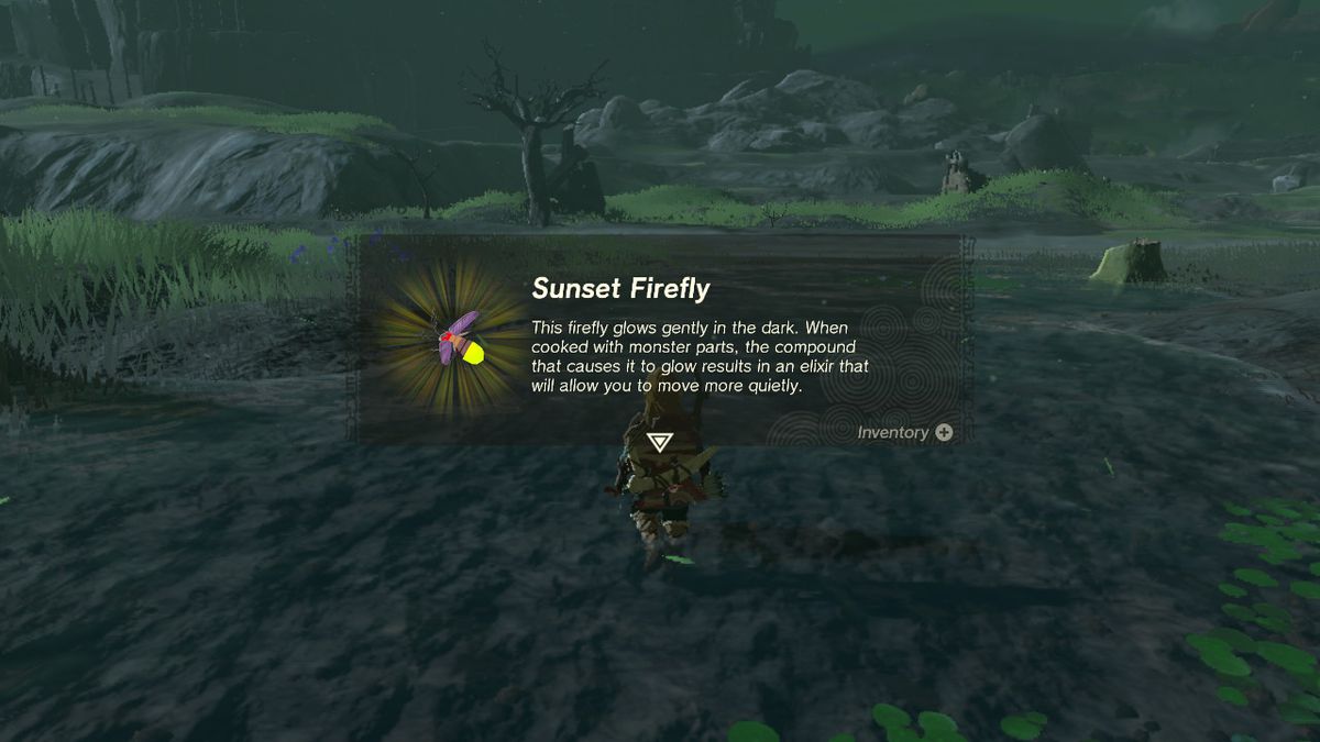 Beskrivningen för en Sunset Firefly i The Legend of Zelda: Tears of the Kingdom