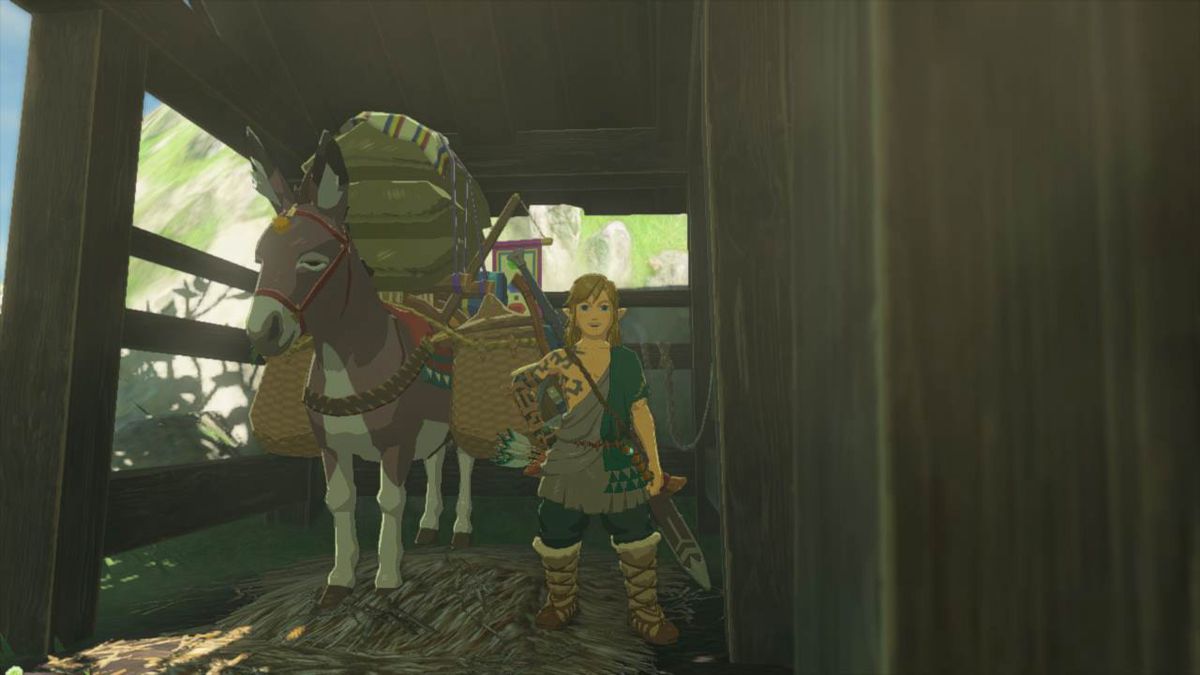 Link poserar med en åsna laddad med varor i Zelda: Tears of the Kingdom