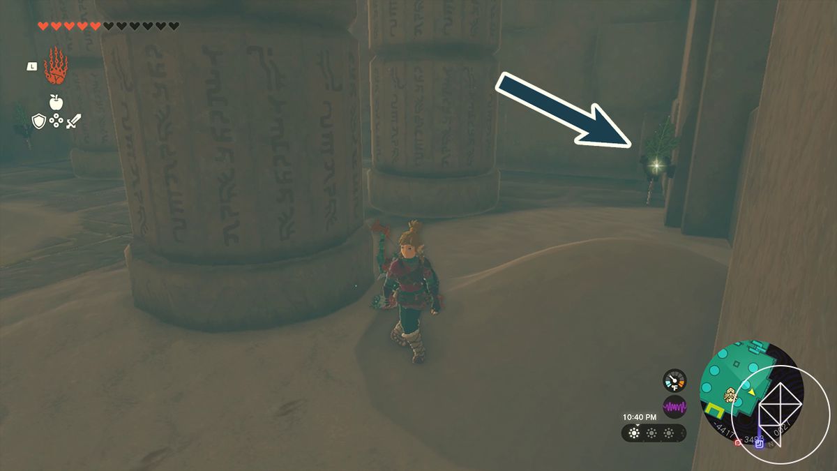 The Legend of Zelda: Tears of the Kingdom Link inside the Lightning Temple with an arrow pointing to a Korok Frond in the corner