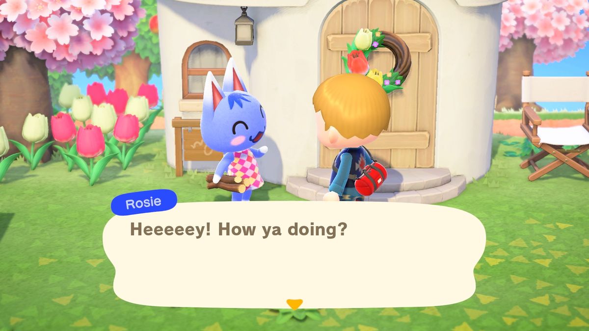 En bybor och katt med namnet Rosie talar utanför en dörr i en skärmdump från Animal Crossing: New Horizons