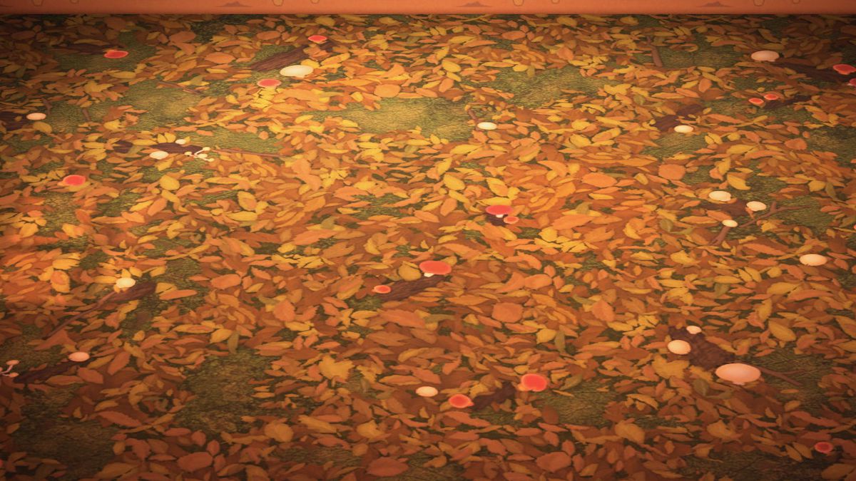 Ett golv som är täckt av bruna blad och svamp
