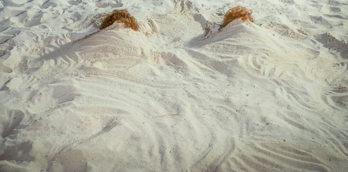 två permerade frisyrer sticker ut från sanden