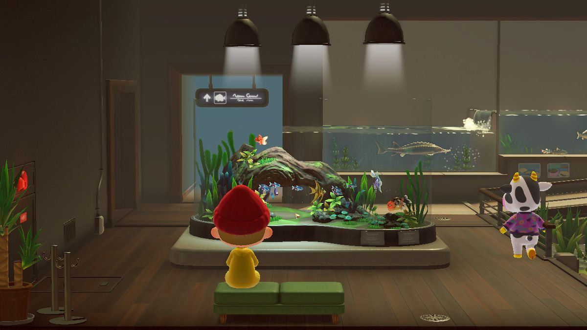 En bybor sitter på en bänk i museets akvarievinge från Animal Crossing: New Horizons