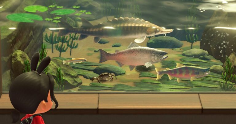 Animal Crossing: New Horizons ny fisk och insekter att fånga i september