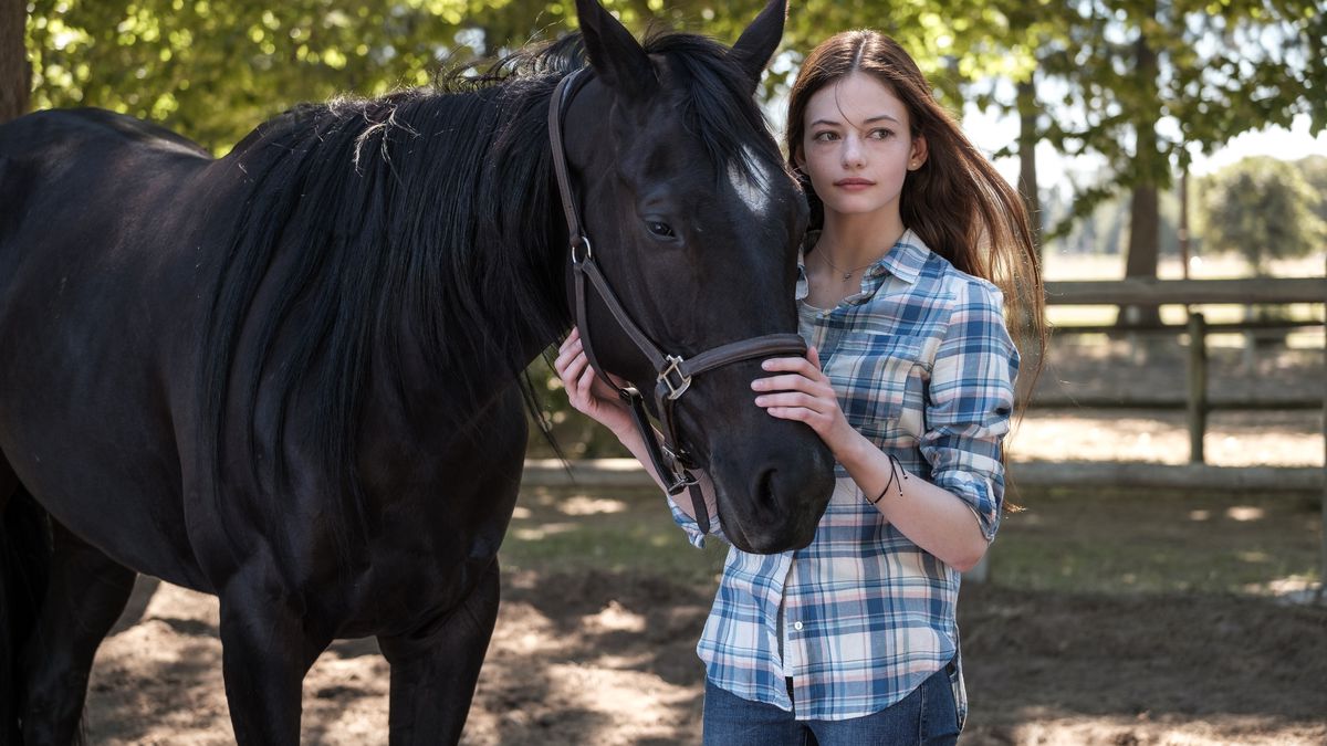 en flicka och en häst 