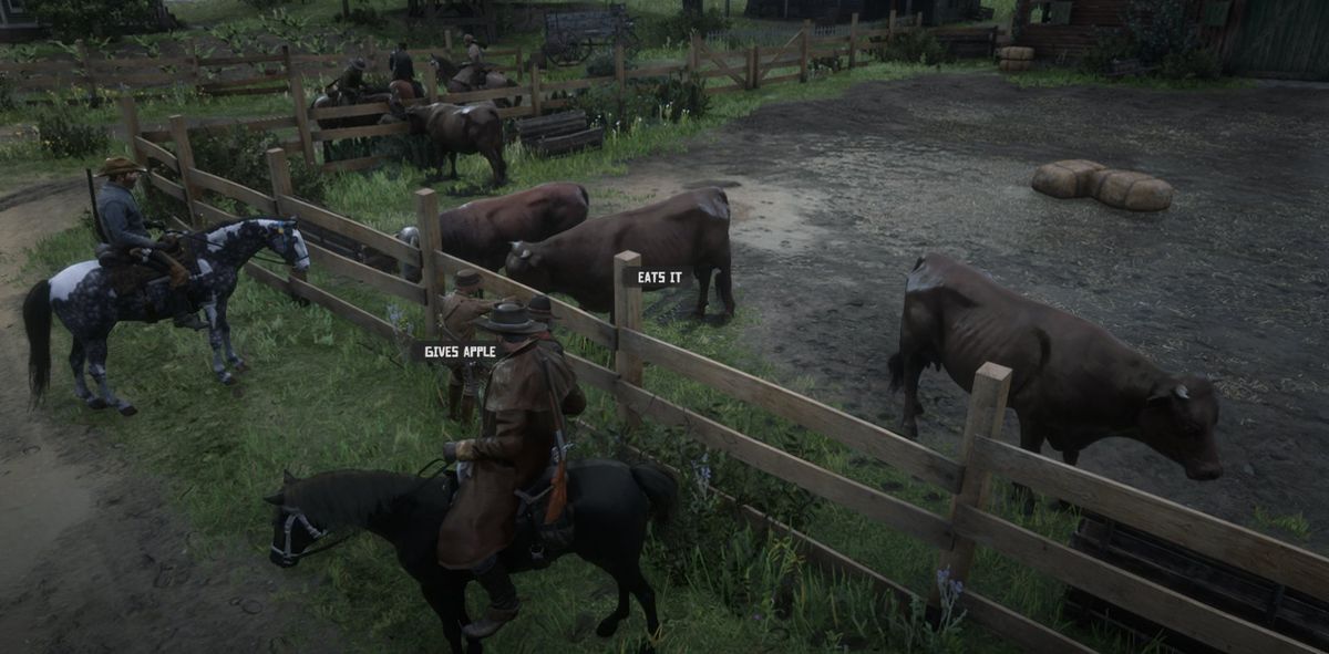 Red Dead Online - en spelare, som en cowboy, ger koen ett äpple med texten 