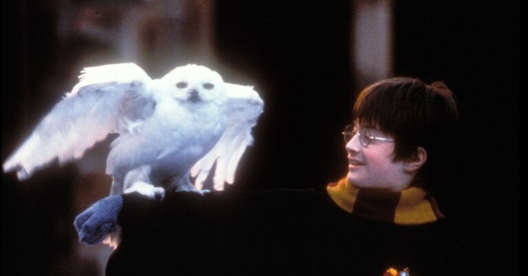 Vad kan det nya tv-programmet Harry Potter egentligen fixa?