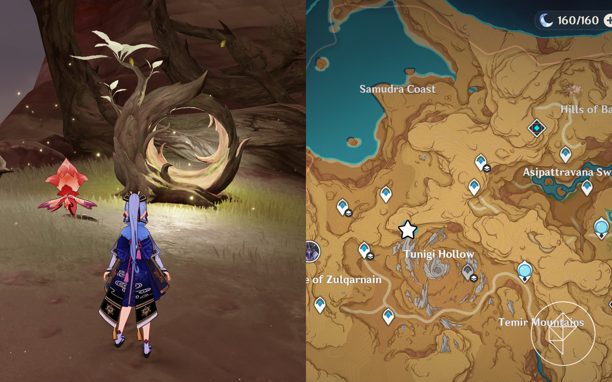 Fravashi Tree 10 läge i Genshin Impact indikeras av Ayaka som står framför trädet med Sorush vid sin sida och en karta.