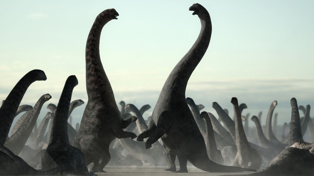 Two dreadnaughtus — long-necked sauropods — rear up on their hind legs and stretch their necks in a dominance display, watched by dozens of reclining dreadnaughtus. 