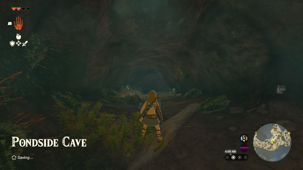 Link står vid ingången till Pondside Cave of Great Sky Island i Zelda Tears of the Kingdom.