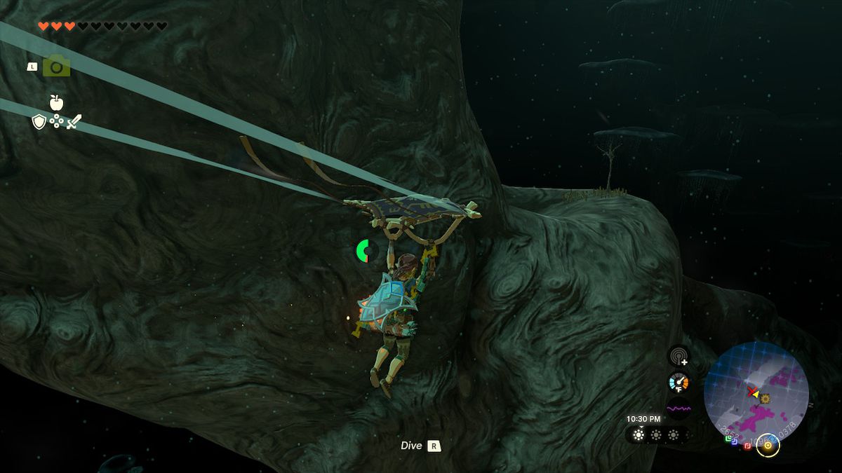 Link glides over to the second end of the root in Zelda: Tears of the Kingdom