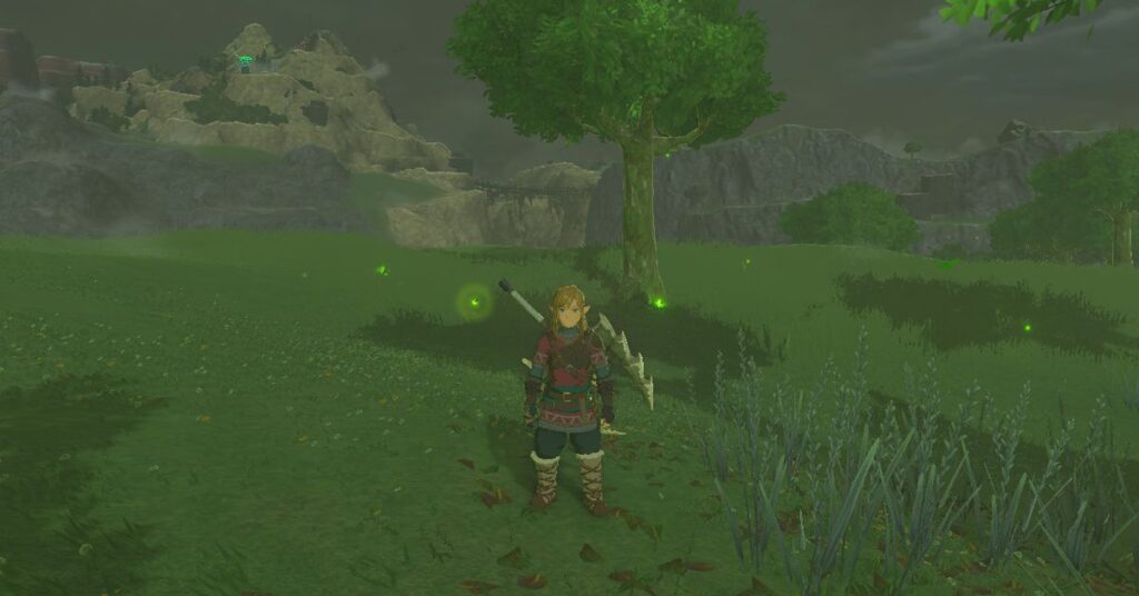 Hur man får solnedgångseldflugor i Zelda: Tears of the Kingdom