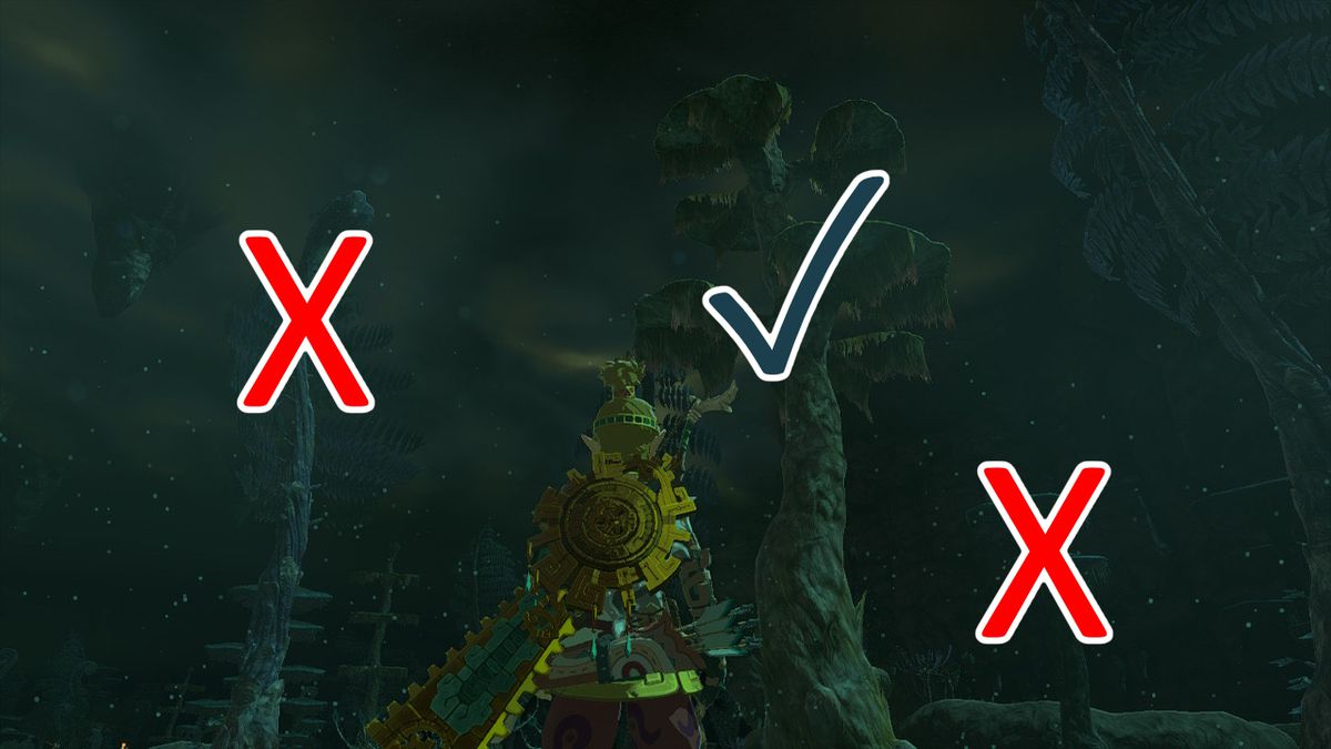 Link stirrar på tre träd som innehåller bombblommor i djupet i Zelda Tears of the Kingdom.