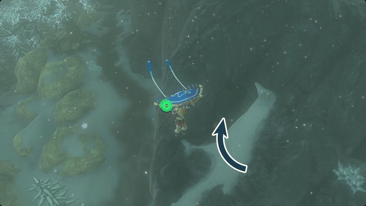 The Legend of Zelda: Tears of the Kingdom Link skärmflygning ner till West Lake Totori Cave.