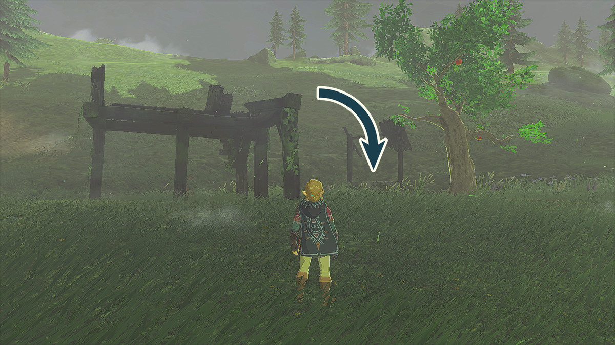 The Legend of Zelda: Tears of the Kingdom Link som står utanför Elma Knolls Well.