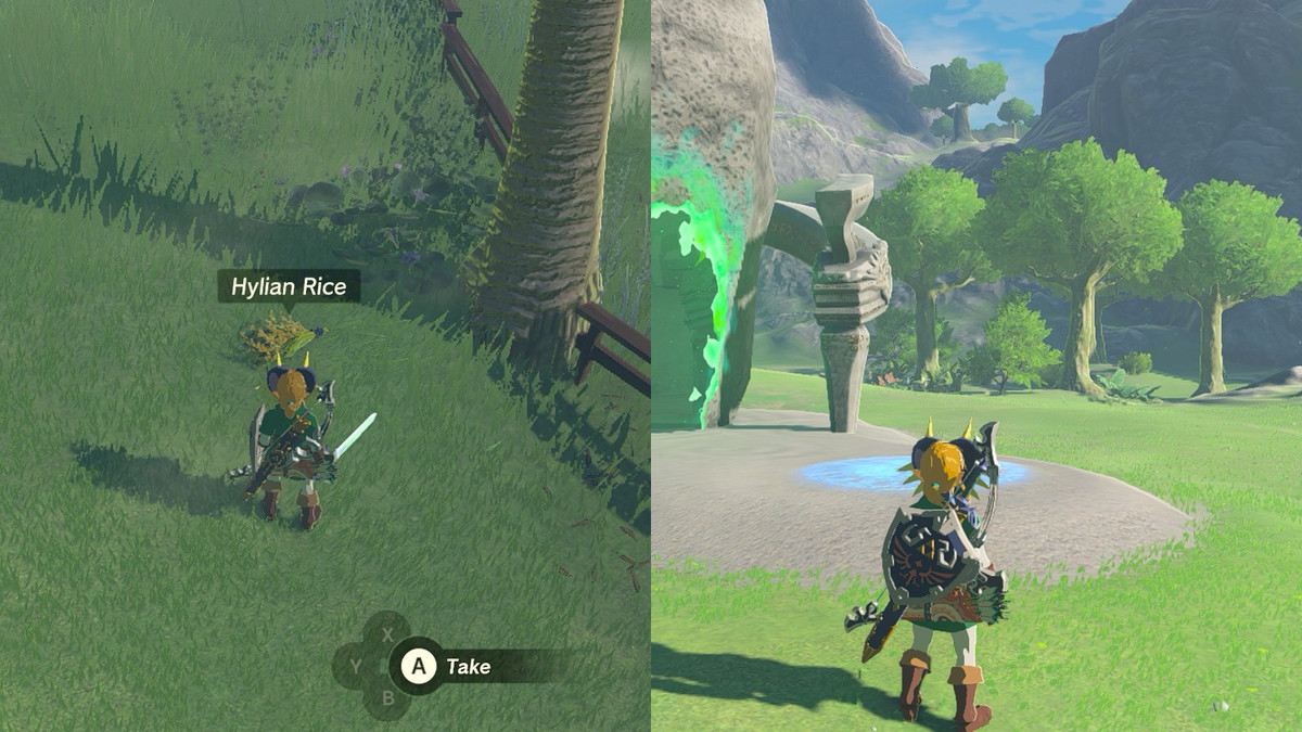 Länk som tittar på lite nyklippt Hylian-ris och några träd bakom Sifumim Shrine i The Legend of Zelda: Tears of the Kingdom.