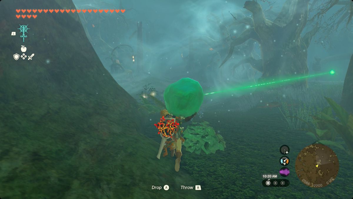 The Legend of Zelda: Tears of the Kingdom Link som bär helgedomskristallen till Pupunke Shrine i Korok-skogen.