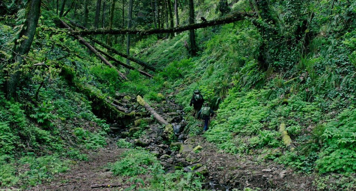 Thomasin McKenzie och Ben Foster, med ryggen mot kameran, går genom den frodiga grönskan i skogen i Leave No Trace.