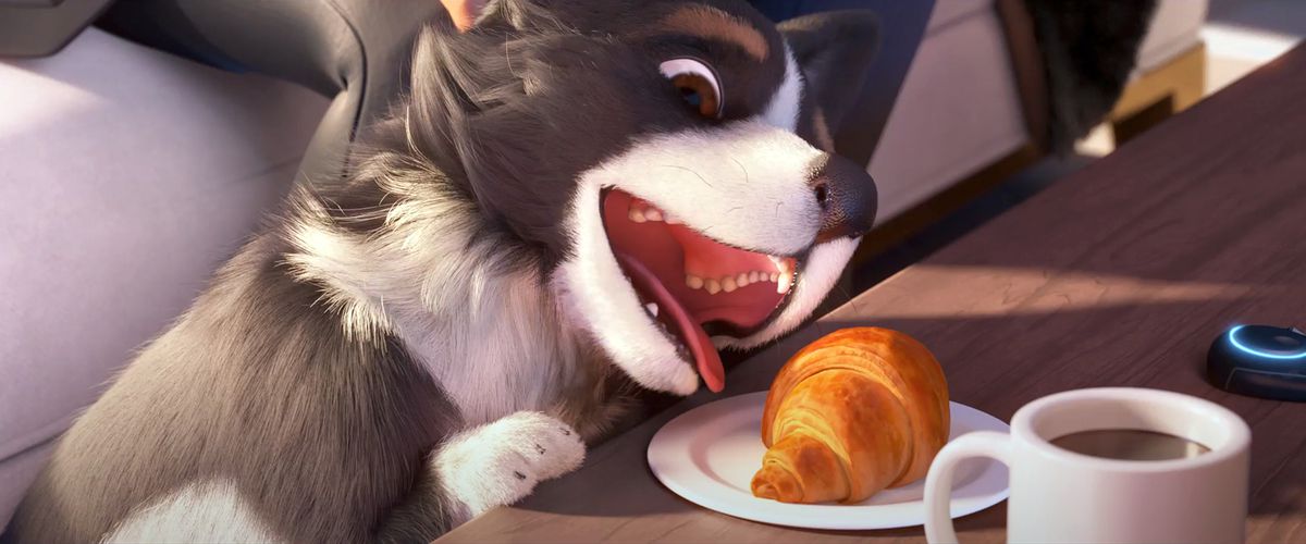 Murphy, Sojourns hund, försöker äta en croissant i en stillbild från Overwatch 2 animerade kort 
