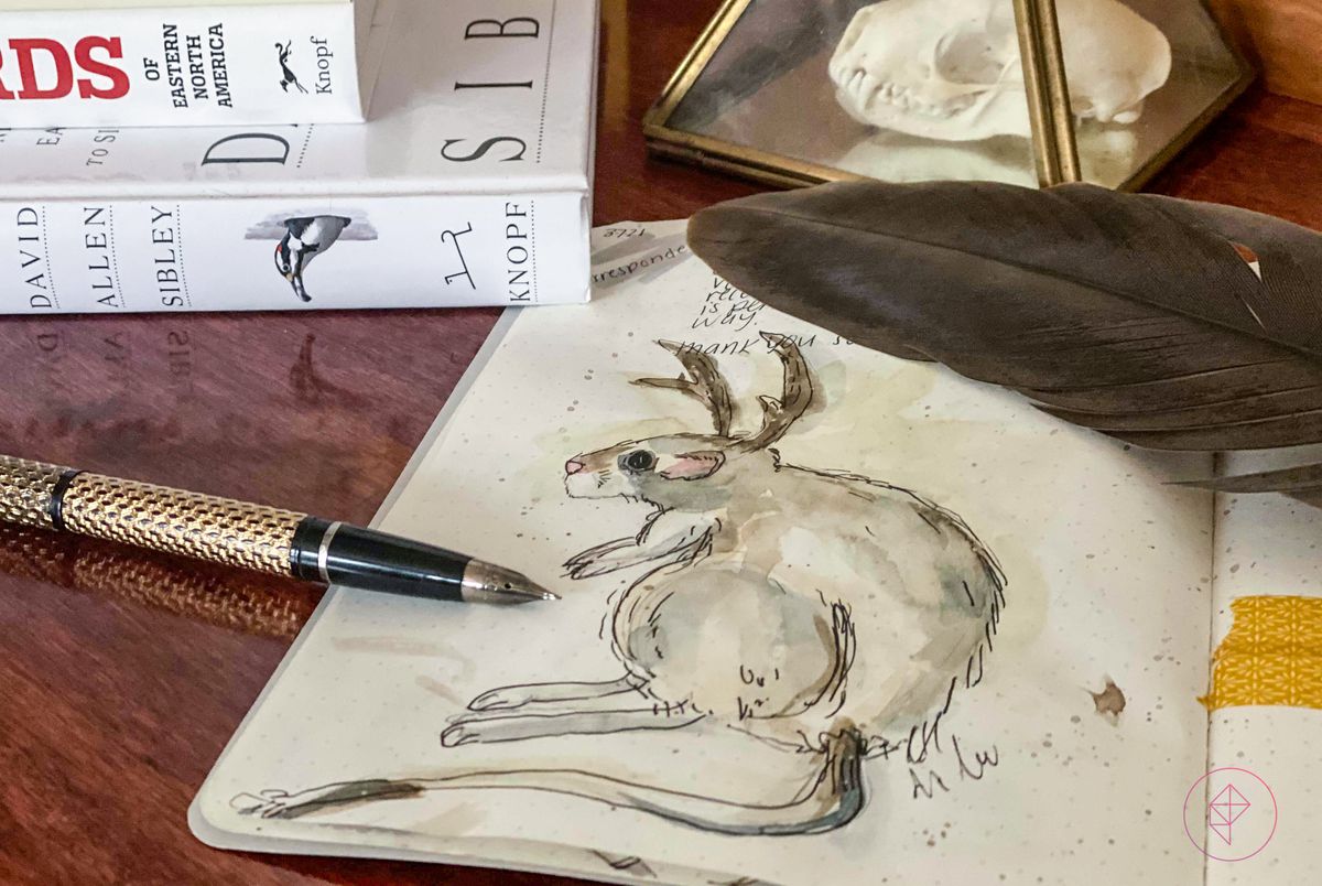 En akvarellmålning av en gnagare med horn, med en reservoarpenna bredvid