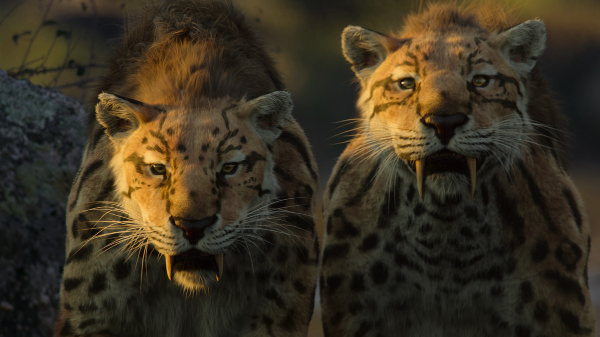 Two sabretooth tigers look adorably ferocious in an image from Life on Our Planet
