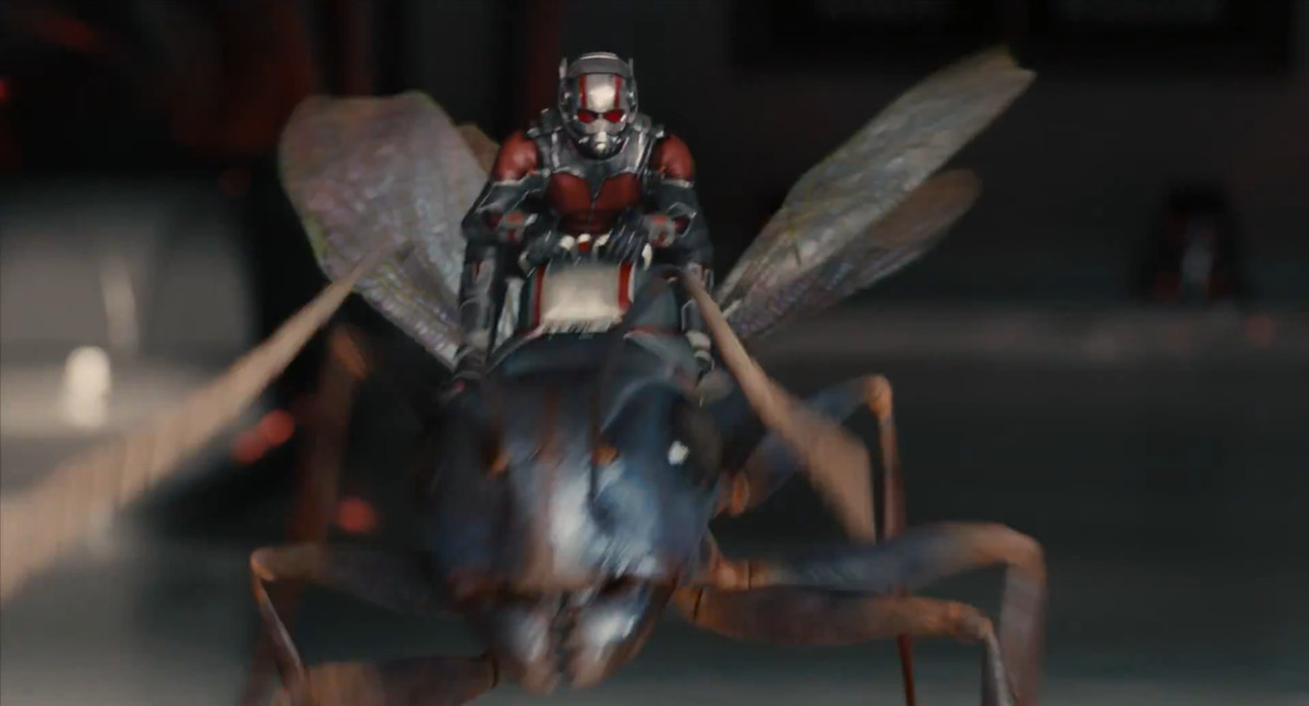 ant-man rides an ant