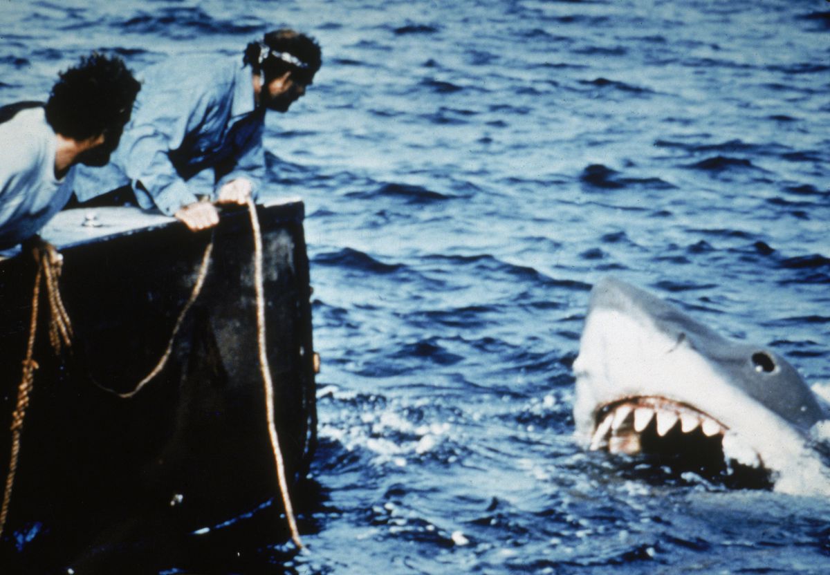 Hooper (Richard Dreyfuss) och Quint (Robert Shaw) lutar sig från baksidan av sin lilla fiskebåt och håller i rep när de ser en gigantisk vithaj dyka upp ur vattnet i en stillbild från filmen Jaws från 1975, regisserad av Steven Spielberg