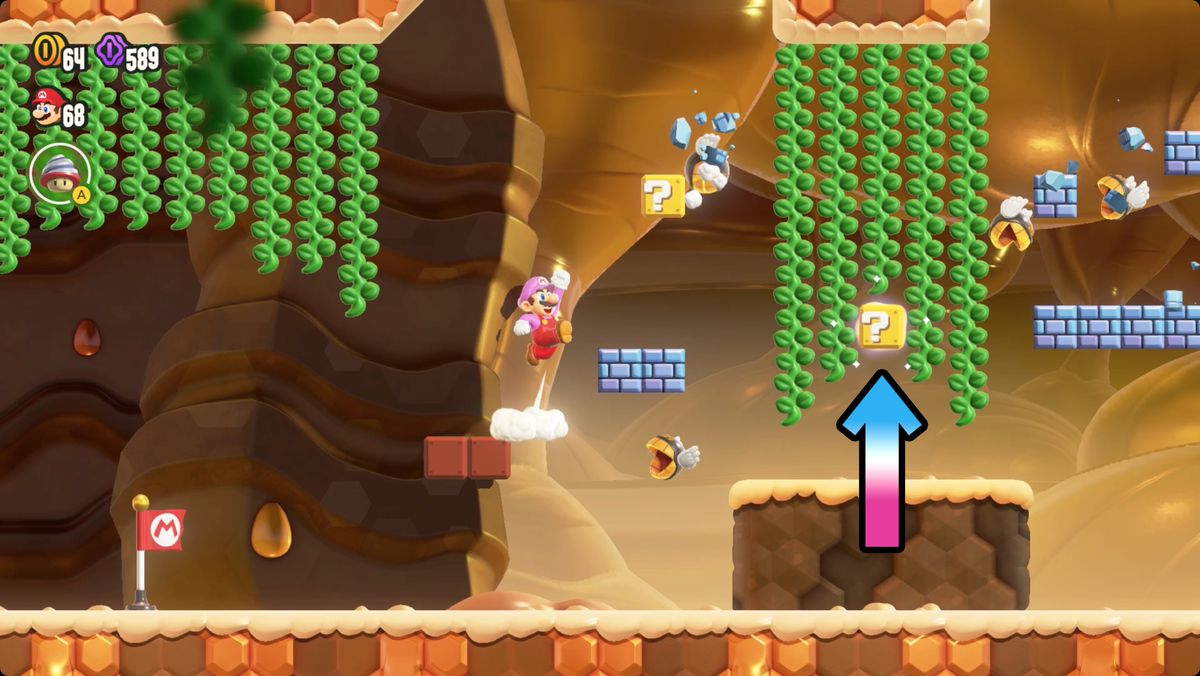 Super Mario Bros. Wonder Gnawsher Lair screenshot showing the Wonder Flower location.