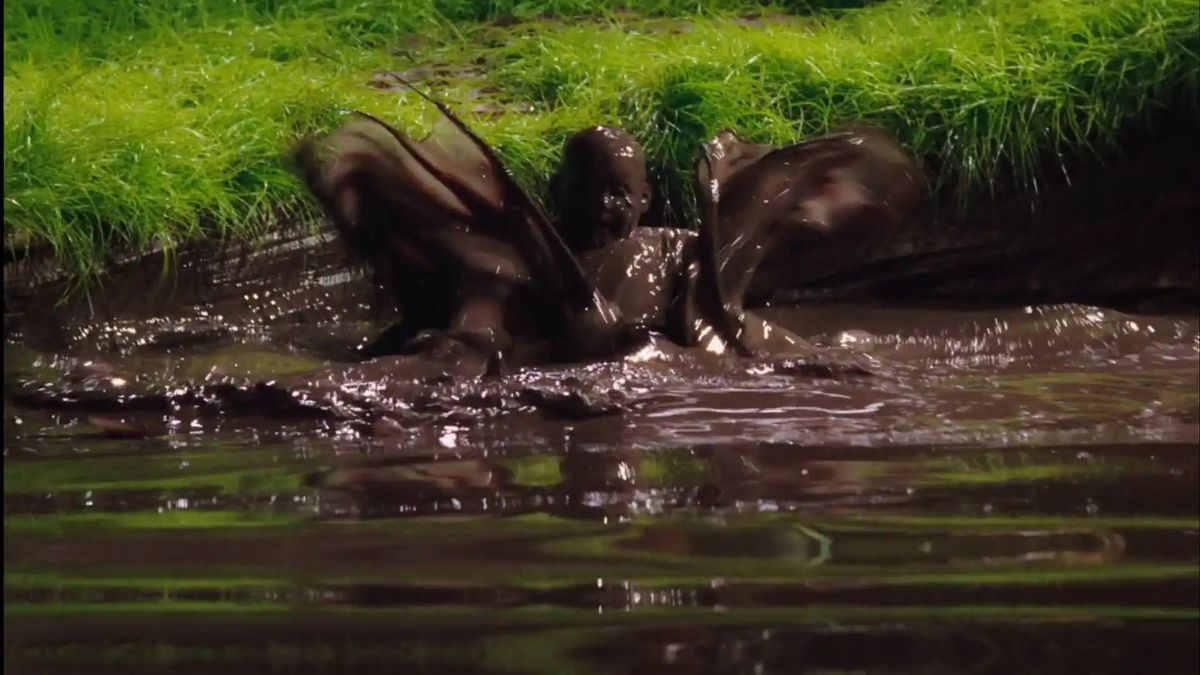 Augustus flailing in a dark chocolate river