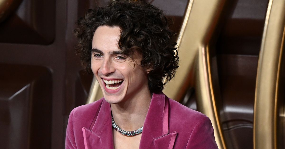 Timothée Chalamet, ex-Xbox 360 controller modder, kliver modigt ut på The Game Awards