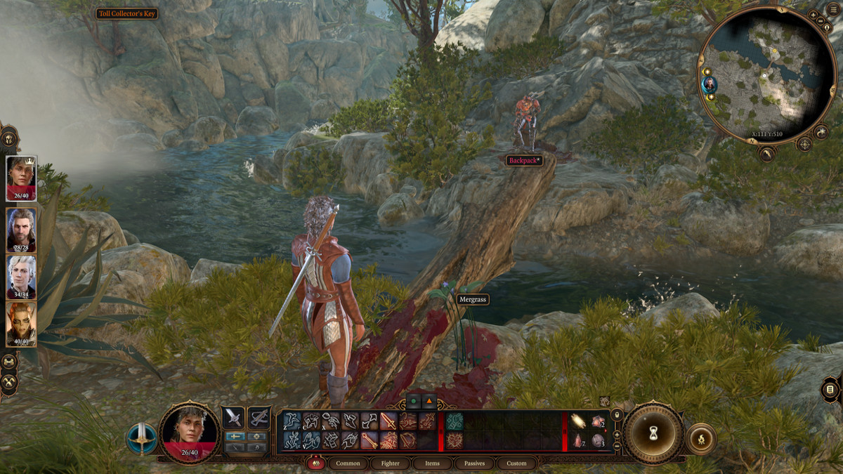En skärmdump av Baldur's Gate 3, som visar en spelarkaraktär som står i ett blodstänk och närmar sig Karlach, med en bäck som rinner mellan dem.