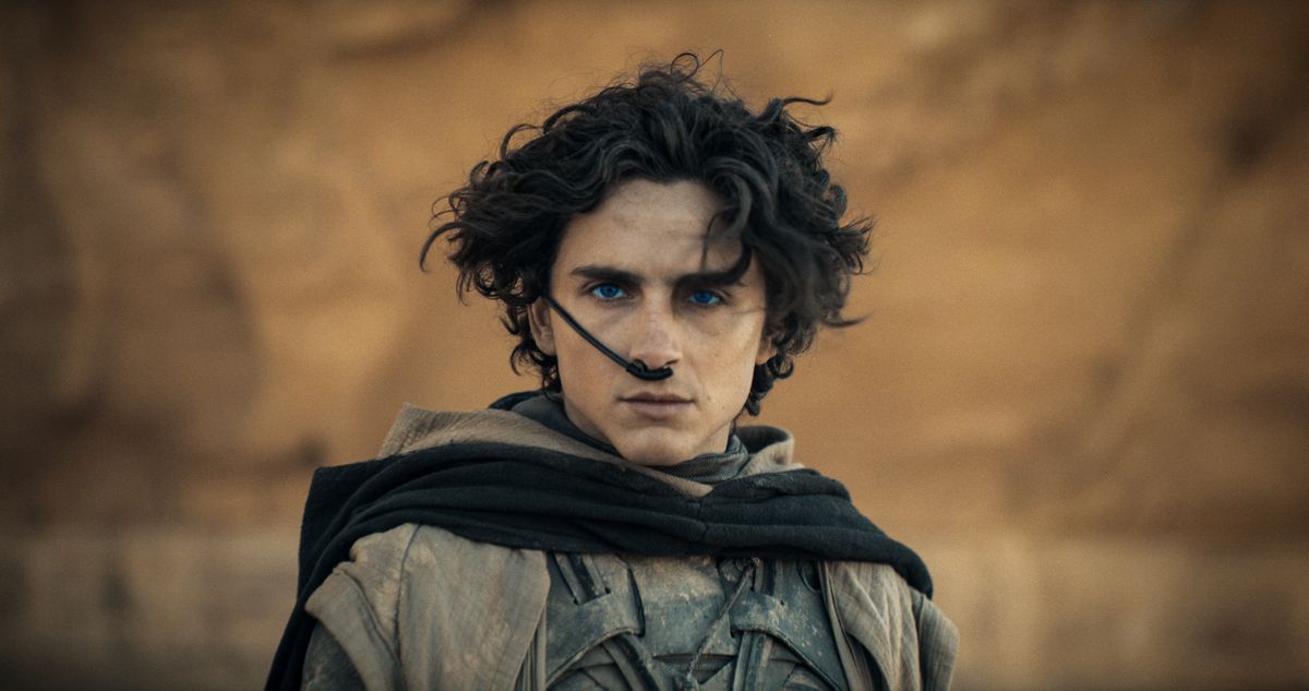 Timothee Chalamet stars at the camera in Fremen garb as Paul Atreides in Dune: Part Two. 