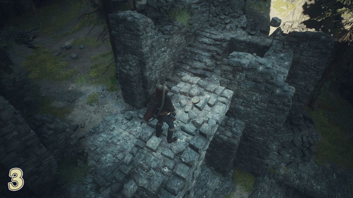 Dragon’s Dogma 2 Seeker Token location near northeastern Vermund