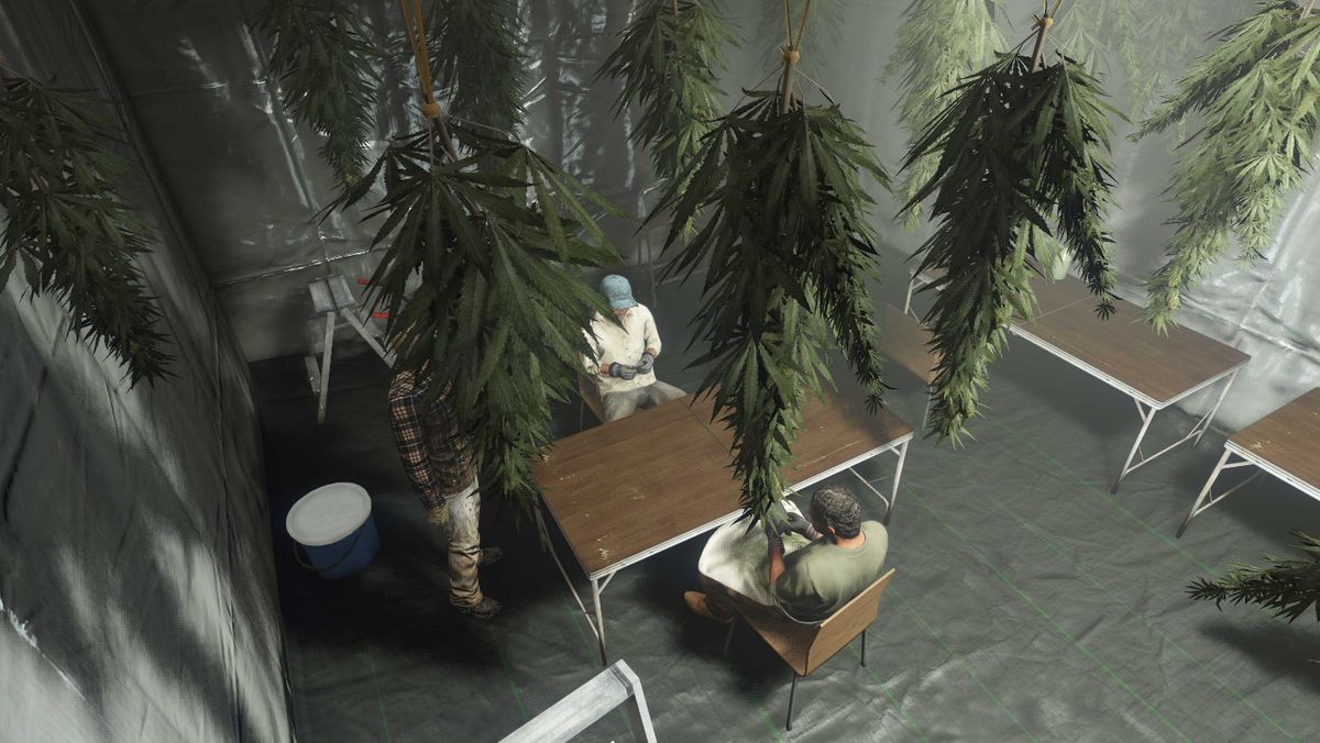 Medlemmar av ett kriminellt företag sitter runt ett skrivbord i ett rum med ogräsväxter i nyckelkonst för GTA Online.