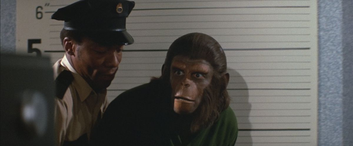 En chockad apa som hålls fast av en polis framför en mugshot-bakgrund i Conquest of the Planet of the Apes.