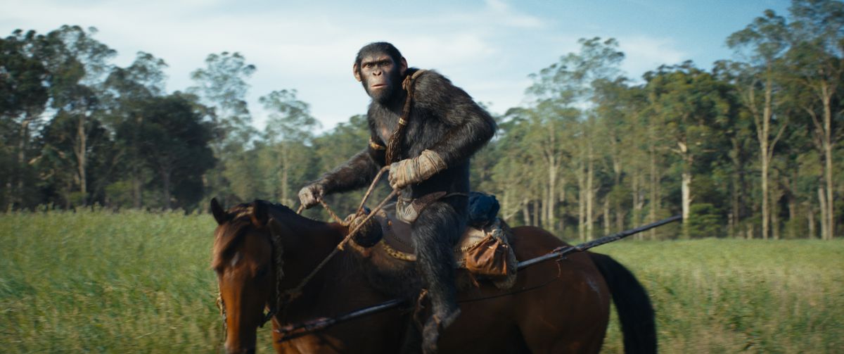 Noa, en schimpans, rider en häst framför en skog i filmen Kingdom of the Planet of the Apes