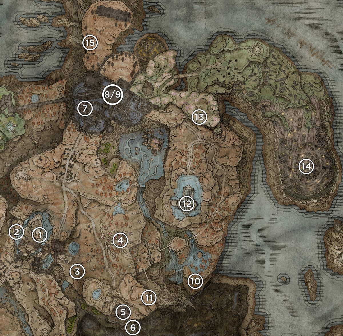 A map of the Southern Shores from the Elden Ring DLC, Shadow of the Erdtree, marked with the locations of talismans.