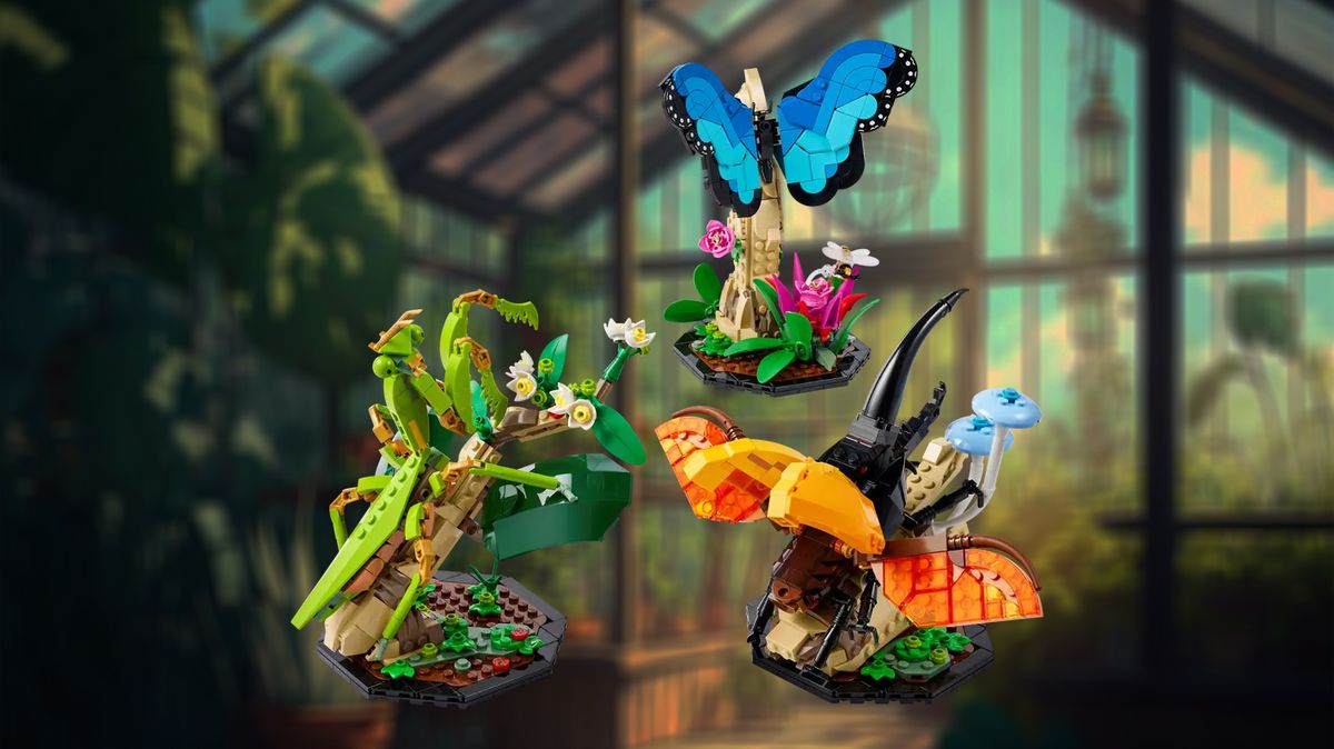 A stock photo of the LEGO Ideas The Insect Collection  