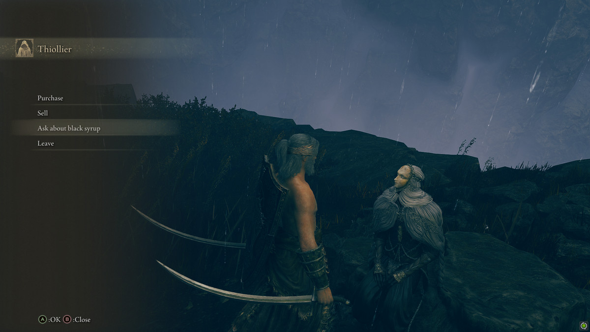 En skärmdump av en Tarnished in Elden Ring Shadow of the Erdtree som frågar Thiollier om den svarta sirapen